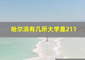 哈尔滨有几所大学是211