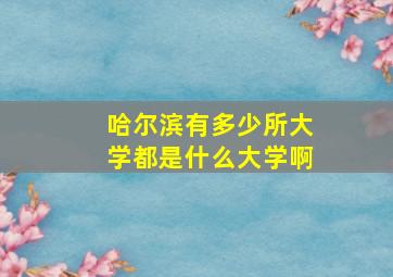 哈尔滨有多少所大学都是什么大学啊