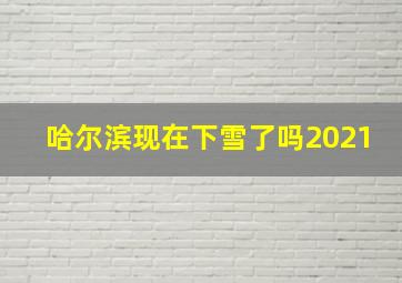 哈尔滨现在下雪了吗2021