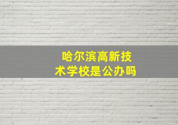 哈尔滨高新技术学校是公办吗