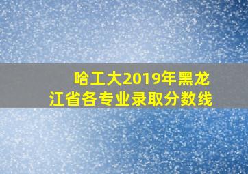 哈工大2019年黑龙江省各专业录取分数线