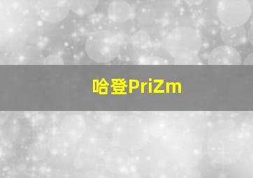 哈登PriZm