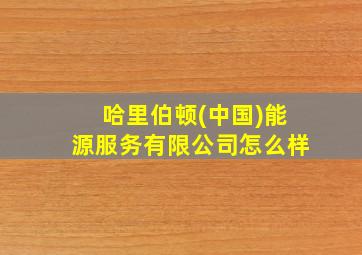 哈里伯顿(中国)能源服务有限公司怎么样