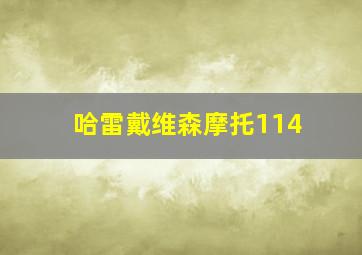 哈雷戴维森摩托114