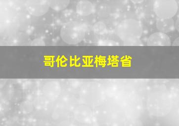 哥伦比亚梅塔省