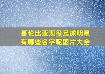 哥伦比亚现役足球明星有哪些名字呢图片大全