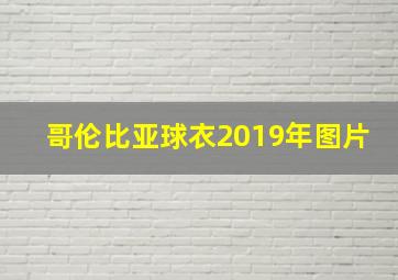 哥伦比亚球衣2019年图片