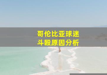 哥伦比亚球迷斗殴原因分析