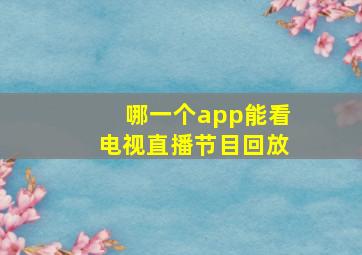 哪一个app能看电视直播节目回放