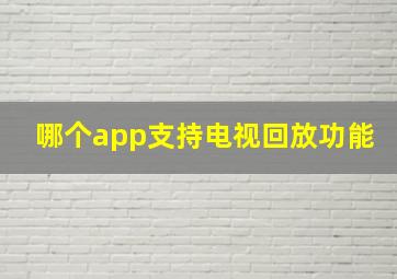 哪个app支持电视回放功能