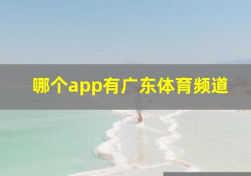 哪个app有广东体育频道