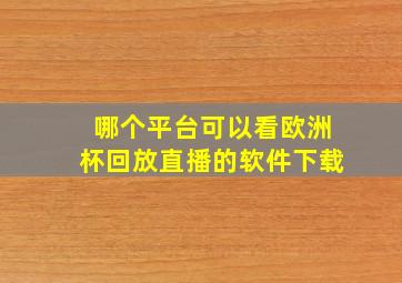 哪个平台可以看欧洲杯回放直播的软件下载