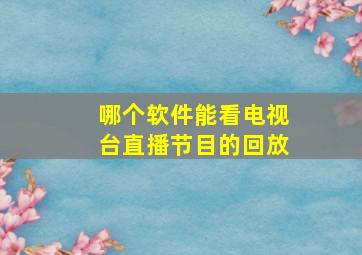 哪个软件能看电视台直播节目的回放