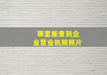 哪里能查到企业营业执照照片