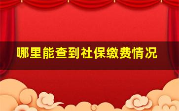 哪里能查到社保缴费情况