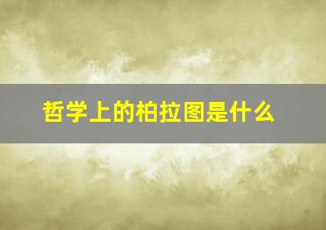 哲学上的柏拉图是什么