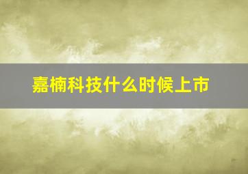 嘉楠科技什么时候上市