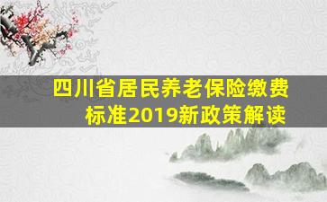 四川省居民养老保险缴费标准2019新政策解读