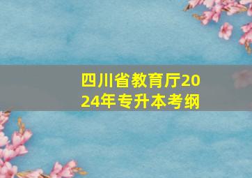 四川省教育厅2024年专升本考纲