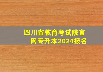 四川省教育考试院官网专升本2024报名