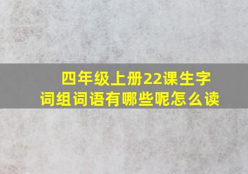 四年级上册22课生字词组词语有哪些呢怎么读