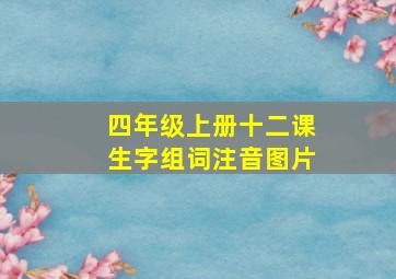 四年级上册十二课生字组词注音图片