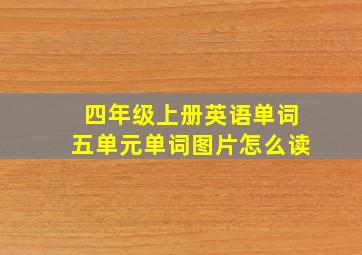 四年级上册英语单词五单元单词图片怎么读