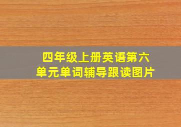 四年级上册英语第六单元单词辅导跟读图片