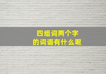 四组词两个字的词语有什么呢