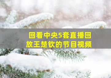 回看中央5套直播回放王楚钦的节目视频