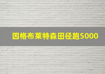 因格布莱特森田径跑5000