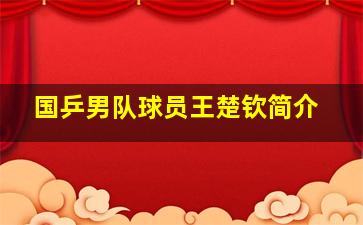 国乒男队球员王楚钦简介