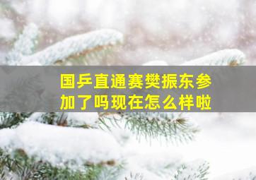 国乒直通赛樊振东参加了吗现在怎么样啦