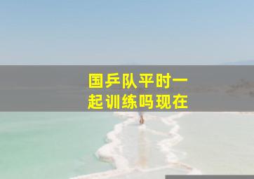 国乒队平时一起训练吗现在