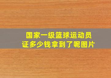 国家一级篮球运动员证多少钱拿到了呢图片