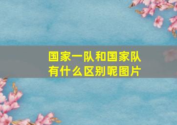 国家一队和国家队有什么区别呢图片