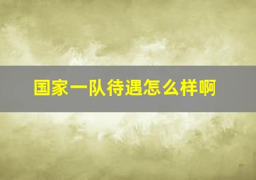 国家一队待遇怎么样啊