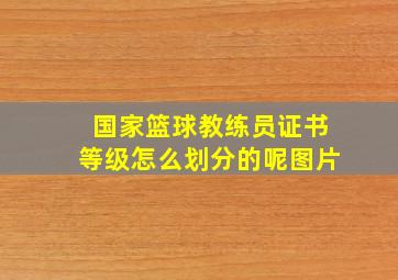 国家篮球教练员证书等级怎么划分的呢图片