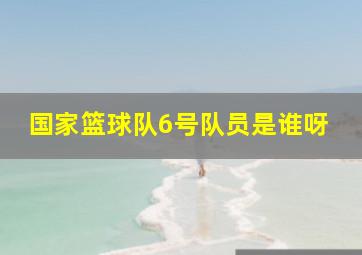 国家篮球队6号队员是谁呀