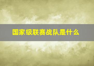 国家级联赛战队是什么