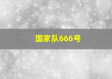 国家队666号