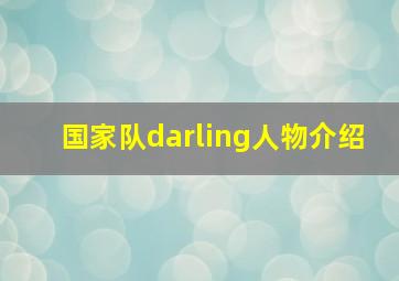 国家队darling人物介绍