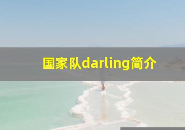 国家队darling简介