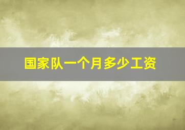 国家队一个月多少工资