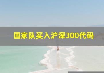 国家队买入沪深300代码