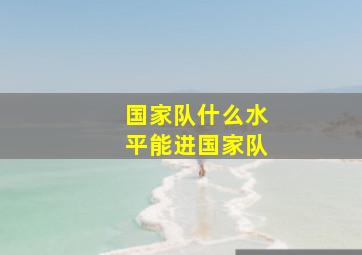 国家队什么水平能进国家队