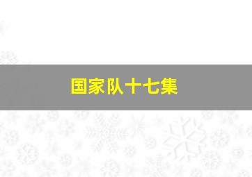 国家队十七集