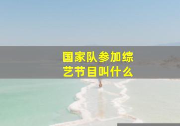 国家队参加综艺节目叫什么