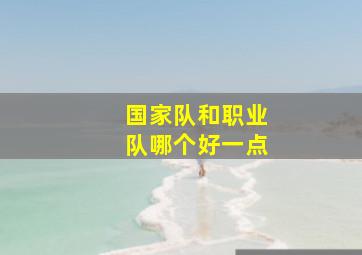 国家队和职业队哪个好一点