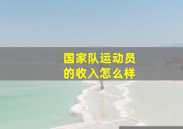 国家队运动员的收入怎么样